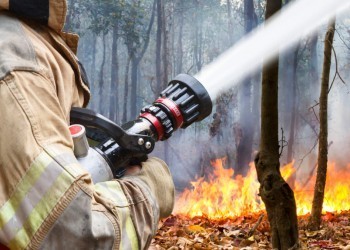 Пожарная безопасность в лесных массивах: это должен знать каждый 