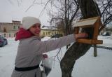 «Пернатые тоже хотят есть»: Саткинский национальный парк «Зюраткуль» предлагает накормить птиц и выиграть приз 