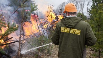 «Берегите лес от огня!»: до начала пожароопасного сезона в Саткинском районе осталось меньше месяца 