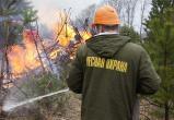 «Берегите лес от огня!»: до начала пожароопасного сезона в Саткинском районе осталось меньше месяца 