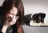 «Обезопасить питомцев»: саткинцам, которые заболели коронавирусом, рекомендуют ограничить контакты с животными