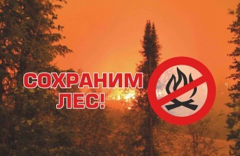 Жители Саткинского района приглашаются к участию в конкурсе «Скажем лесным пожарам: «НЕТ!»