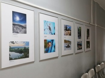 «На приём - как на выставку»: стены поликлиники в Сатке украсили работы фотографов 