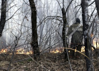 1 мая в Саткинском районе начнется пожароопасный период: какие правила обязательно нужно соблюдать 