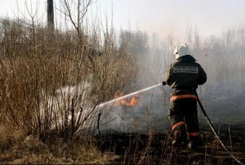 «Предотвратить беду»: жителей Саткинского района просят не разводить огонь в лесу 