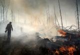 «ЧП на 2 млн рублей»: в результате пожаров в Саткинском районе лесному фонду нанесён огромный ущерб 