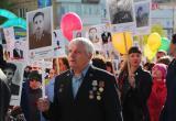 «А шествие будет?»: планируется ли проведение акции «Бессмертный полк» в Саткинском районе 9 мая  
