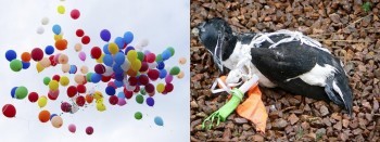 «Здравый смысл»: саткинцев призывают отказаться от запуска в небо воздушных шаров и «китайских фонариков»