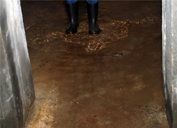 «Топит подвал»: прокуратура добивается реконструкции системы водоотведения в Бакале 