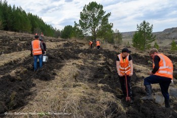«Новые деревья»: Группа Магнезит продолжает масштабные работы по озеленению Сатки и промплощадок 