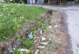 «Там уже всё заросло!»: жительница Сатки просит очистить ливнёвку на улице Куйбышева от мусора 