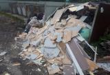 «ФОТОФАКТ: здесь – не свалка!»: сулеинцев возмутило поведение людей, заваливших мусором контейнерную площадку 