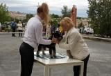 Без бумажки – ты дворняжка: в Сатке прошла региональная выставка собак