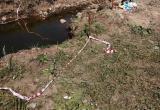 «Ребёнка толкнули?»: продолжаются разбирательства в деталях гибели ребенка в Сулее