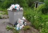 «Проблема»: мусор из контейнера, установленного на бакальском пруду, обещают вывезти в ближайшее время  