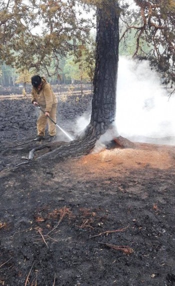 «По следам ЧП»: в Челябинской области продолжается работа по ликвидации крупных лесных пожаров  
