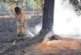 «По следам ЧП»: в Челябинской области продолжается работа по ликвидации крупных лесных пожаров  
