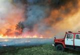 «Знаете? Сообщите!»: жителей Саткинского района, ставших очевидцами лесных пожаров, просят рассказать об этом 