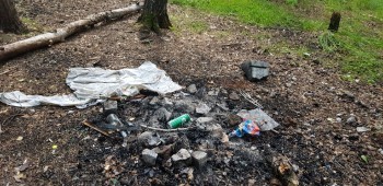 «Оставляют мусор и не тушат костры!»: жители Западного микрорайона Сатки бьют тревогу 