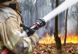 «Огненная угроза»: в Челябинской области сохраняется высокая пожарная опасность