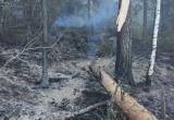 «Огонь подходит к парку»: инспекторы «Зюраткуля» участвуют в ликвидации возгорания на хребте Сука  