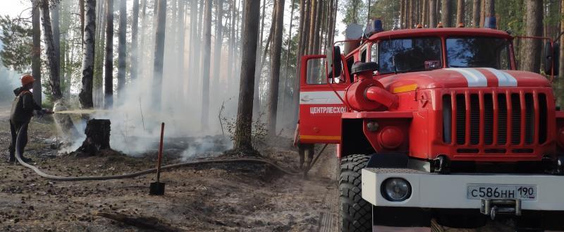  «Выявлены нарушения»: в Саткинском районе проведена проверка готовности к пожароопасному сезону в лесах