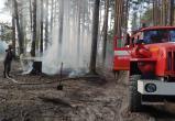  «Выявлены нарушения»: в Саткинском районе проведена проверка готовности к пожароопасному сезону в лесах