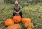 «Огород преподнёс сюрприз»: глава Саткинского района Александр Глазков рассказал о собранном урожае 