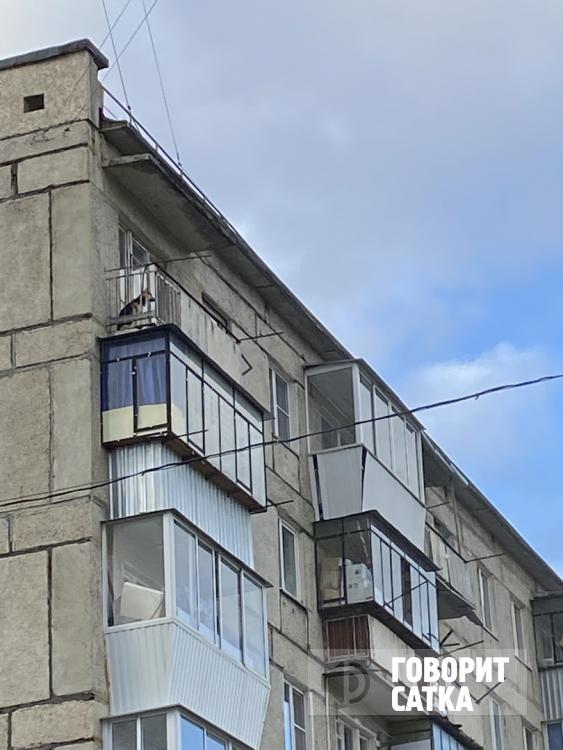 В Сатке на балконе многоэтажки целыми днями сидит собака В Сатке на балконе многоэтажки целыми днями сидит собака