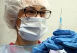 В дни выборов в школах Саткинского района можно будет вакцинироваться от коронавируса и гриппа 