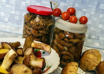 Как собирать и готовить грибы: важные рекомендации 