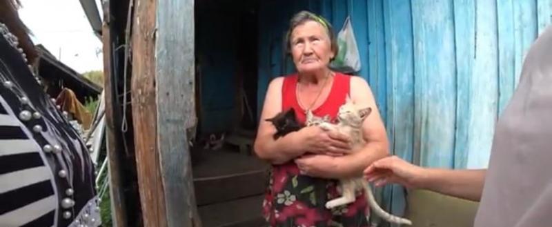 «Спасла котят от издевательств»: жительница Саткинского района у себя дома организовала приют для животных  