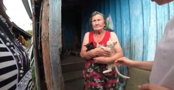 «Спасла котят от издевательств»: жительница Саткинского района у себя дома организовала приют для животных  