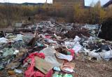 «А ведь такой хороший город!..»: жителя Санкт-Петербурга, посетившего Бакал, возмутила большая свалка мусора 
