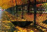 «Листья мокрые нам под ноги ложатся»: какой будет погода в Саткинского районе в предпоследнюю неделю октября 