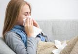 «Заболели»: в Челябинской области зарегистрировано 17 случаев гриппа 