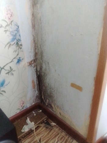 «В квартире плесень, нас топит!»: жительница Бакала уже три года добивается справедливости 