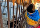 «Приятная встреча»: воспитанники бакальского детского дома навестили животных в центре адаптации «Открытое сердце»