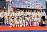 Саткинские спортсмены завоевали медали на областном чемпионате по всестилевому карате