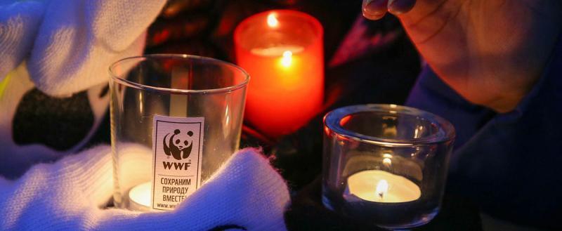 «Просто выключить свет»: жители Саткинского района планируют присоединиться к экологической акции «Час Земли» 