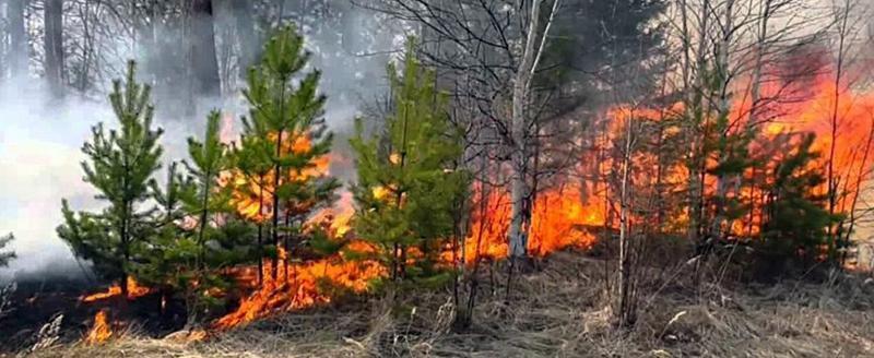 В Челябинской области началась подготовка к весеннему половодью и пожароопасному сезону
