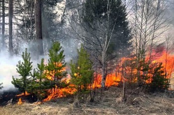 В Челябинской области началась подготовка к весеннему половодью и пожароопасному сезону