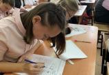 Школьники Саткинского района будут писать всероссийские проверочные работы осенью 