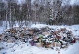   На ликвидацию несанкционированных свалок в Челябинской области выделено порядка 65 миллионов рублей