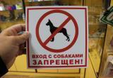 «Не берите с собой собак!»: представители саткинского нацпарка «Зюраткуль» обратились к туристам 