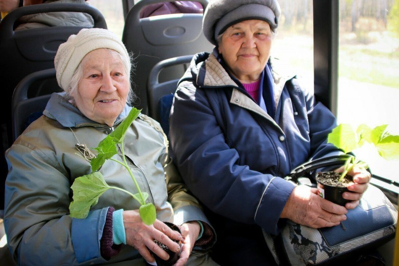 «Автобусы, дороги, штрафы»: саткинские садовые товарищества готовятся к дачному сезону 