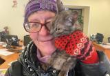 «На корм и медикаменты»: жительнице Чулковки, приютившей у себя более 40-ка кошек и собак, требуется помощь 