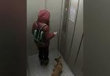 18 + В Челябинской области 14-летняя девочка выбросила собаку с 20-го этажа  
