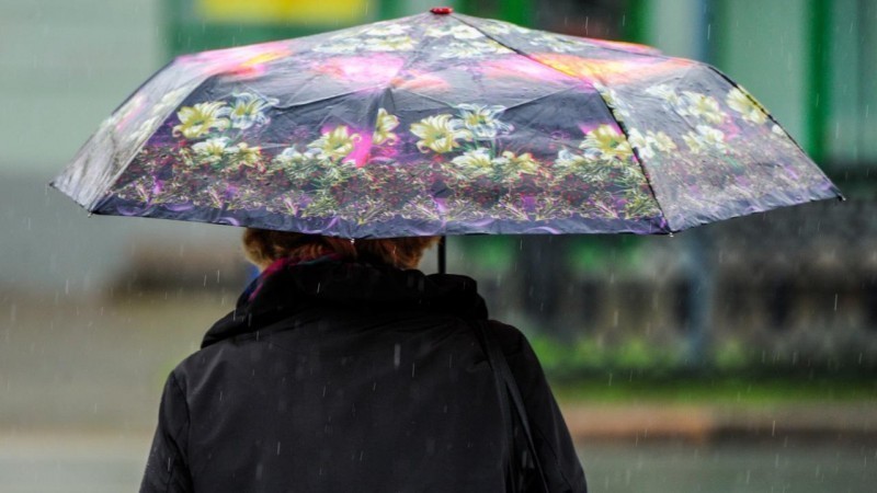 «К нам идут дожди»: какая погода ожидается в Саткинском районе в ближайшие выходные 