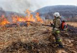 «Распоряжение подписано»: с сегодняшнего дня в Челябинской области – пожароопасный сезон 